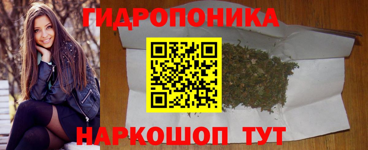 Каннабис Bruce Banner  Вход с VPN  Конопля индика  Вышний Волочёк  Канабис конопля  Бошки Шишки LSD WEED 